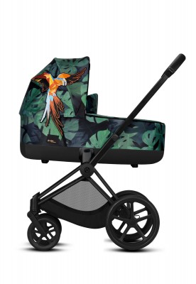 Priam Birds of Paradise